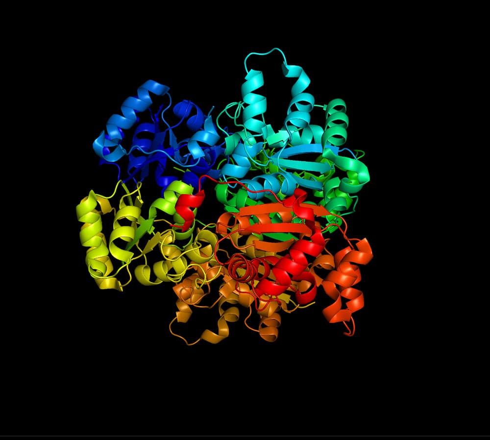 Implementing the Power of Data: Revolutioninzing Biochemistry with the Magic of Data Science (Part I)